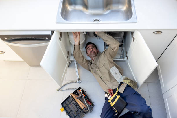 Best Clogged Drain Plumber  in Lake Park, IA