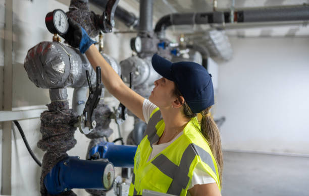 Best Water Softener Installation  in Lake Park, IA
